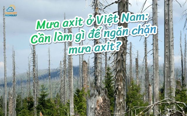 Hiện tượng mưa axit tại Việt Nam càng ngày càng phổ biến
