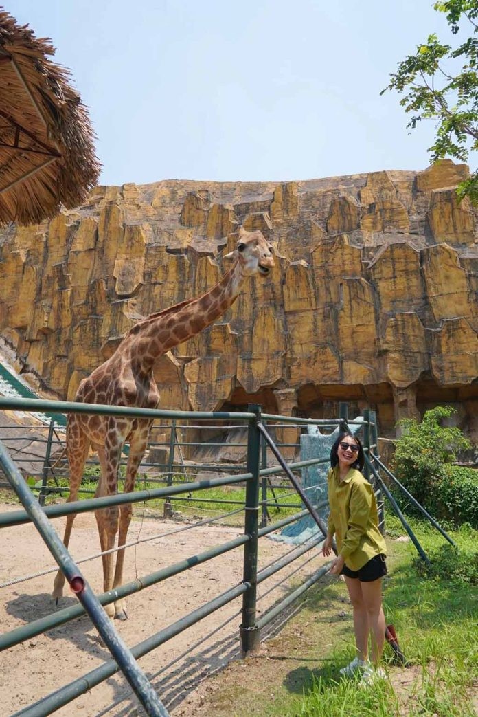 Khu Safari bảo tồn động vật hoang dã tại Thiên đường Bảo Sơn