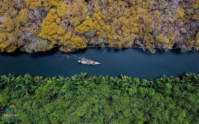 Rừng ngập mặn Rú Chá điểm dã ngoài check in nổi tiếng ở Huế
