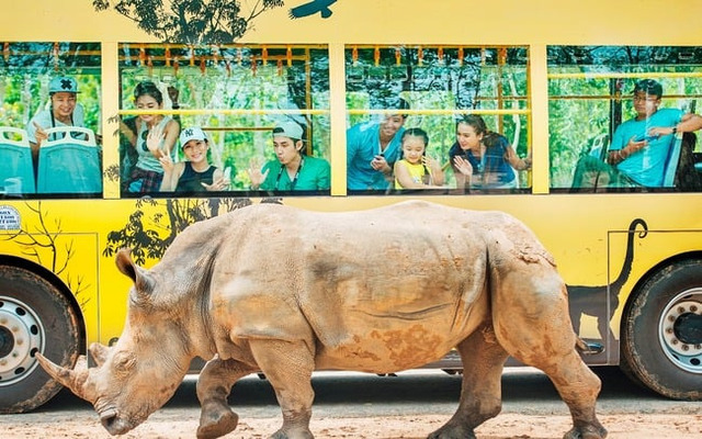 Trải nghiệm “Nhốt người thả thú” tại Safari Phú Quốc