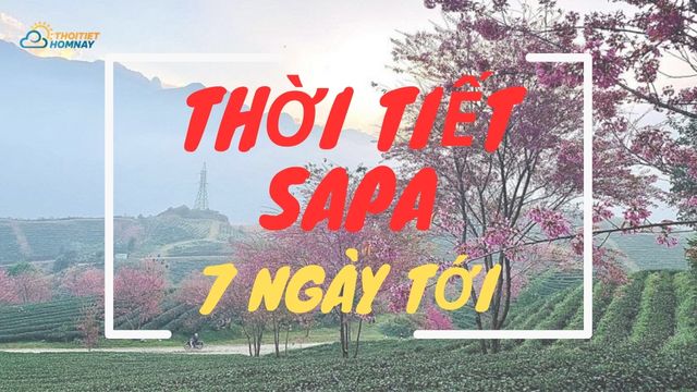 Cập nhật tin tức thời tiết Sapa 7 ngày tới