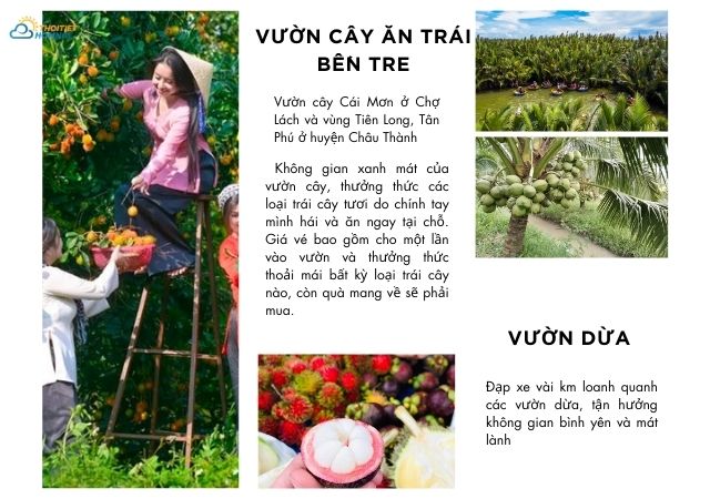 Du lịch Bến Tre đi đâu chơi 