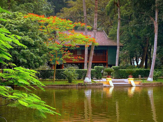 Tham quan nhà sàn và ao cá Bác Hồ