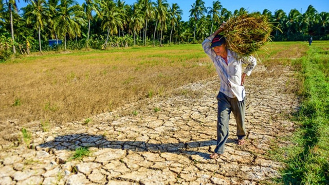 Cảnh báo hạn hán 2024