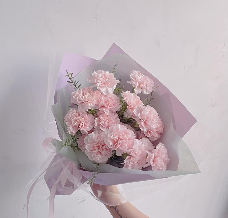 Hoa cẩm chướng tặng mẹ 