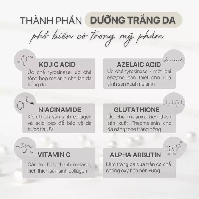 Các thành phần dưỡng trắng da phổ biến