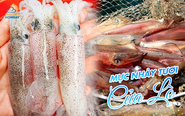 Mực nhảy tươi Cửa Lò 