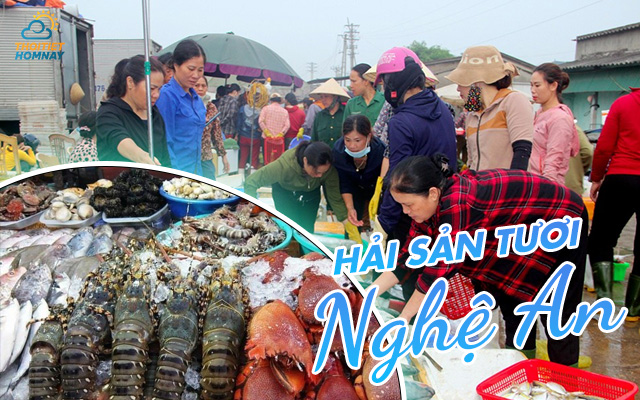 Hải sản tươi Nghệ An 