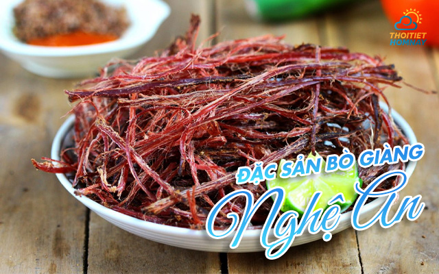 Bò Giàng Nghệ An 