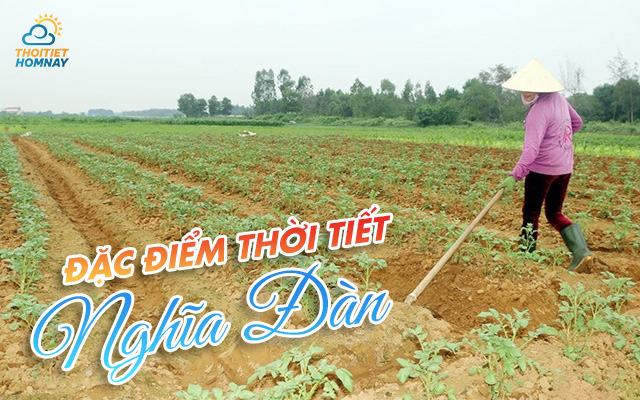 Thời tiết Nghĩa Đàn Nghệ An ảnh hưởng đến các hoạt động lao động, sản xuất 