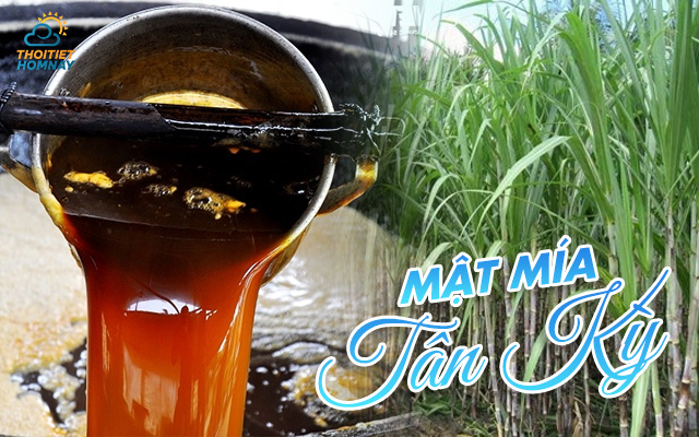 Mật Mía Tân Kỳ - Nghệ An 