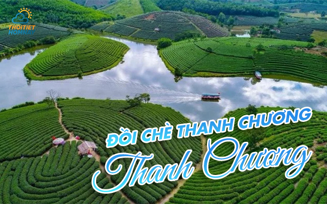 Đồi chè Thanh Chương Nghệ An 