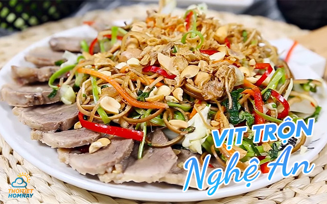 Vịt trộn Vinh 