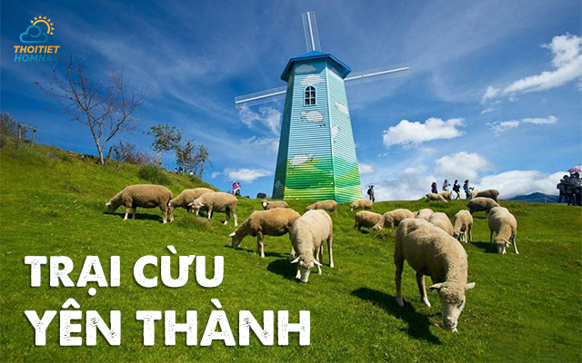 Trại Cừu Yên Thành, Nghệ An 