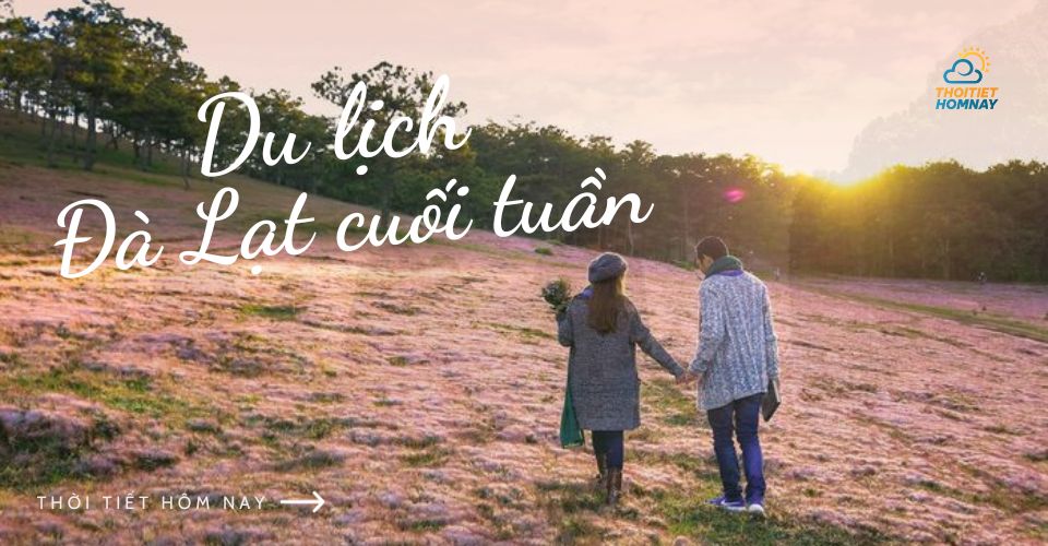 Du lịch Đà Lạt cuối tuần: “CHILL” 4 mùa vùng đất mộng mơ