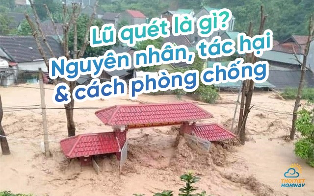 Lũ quét là gì? Nguyên nhân, tác hại và cách phòng chống lũ