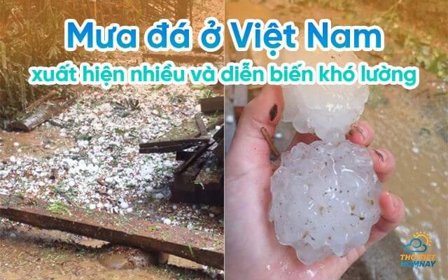 Mưa đá ở Việt Nam ngày càng xuất hiện nhiều với diễn biến khó lường