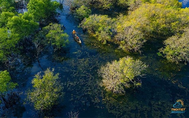 Rừng Rú Chá rừng ngập mặn nguyên sơ đẹp nhất ở Huế