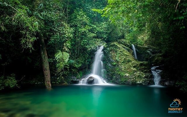 Khám phá cảnh sắc thiên nhiên rộng lớn tại vườn quốc gia Bạch Mã Huế