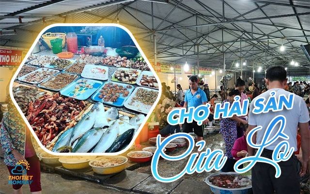 Chợ hải sản tươi ở Cửa Lò 